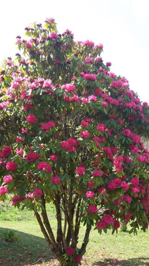 Recanto Da Natureza, Chale Gonçalves Eksteriør bilde