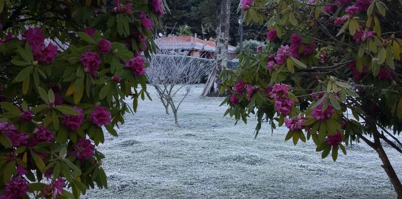 Recanto Da Natureza, Chale Gonçalves Eksteriør bilde