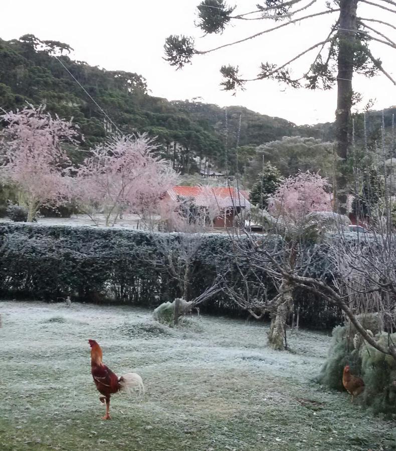 Recanto Da Natureza, Chale Gonçalves Eksteriør bilde