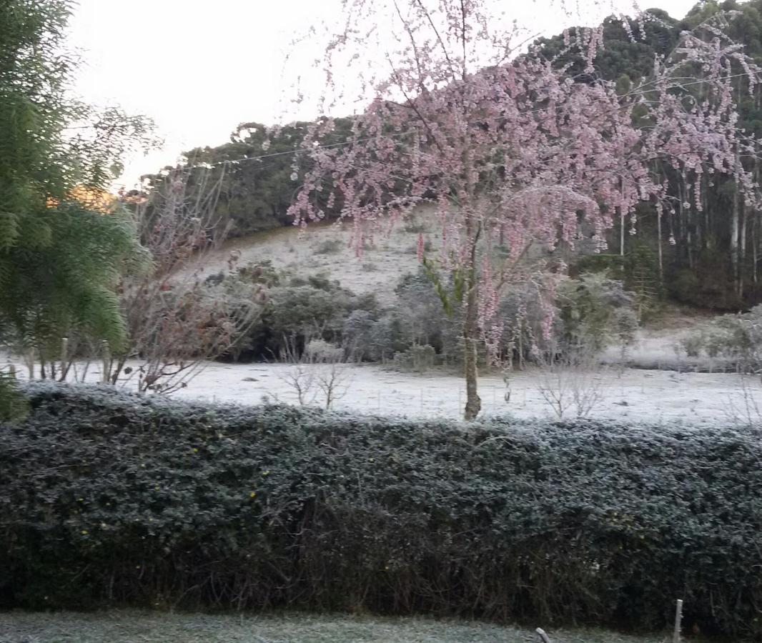 Recanto Da Natureza, Chale Gonçalves Eksteriør bilde