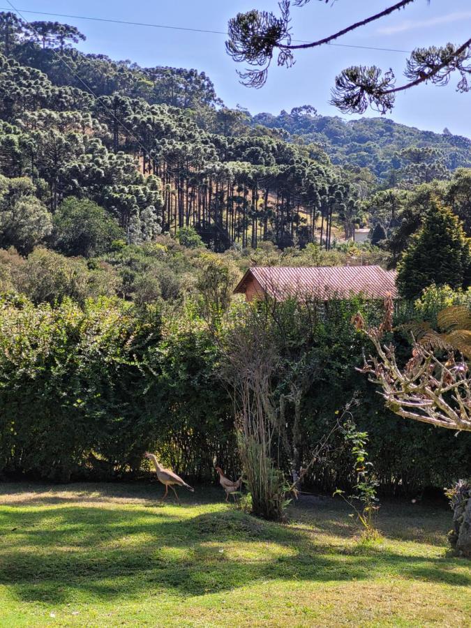 Recanto Da Natureza, Chale Gonçalves Eksteriør bilde